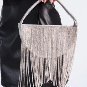 Crystal Moon Silver Clutch